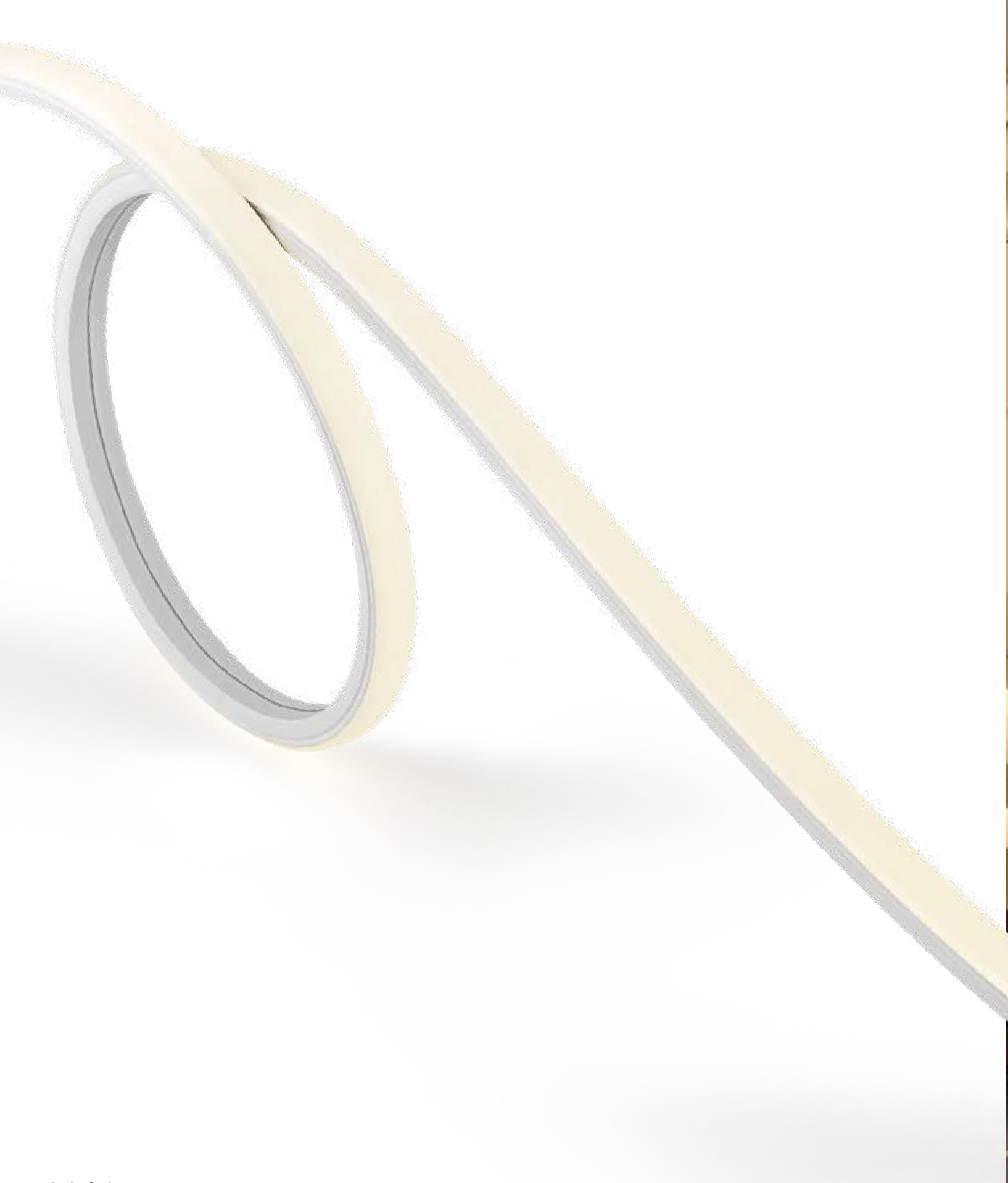 Neon Flex Top View FLX 2 - IP67